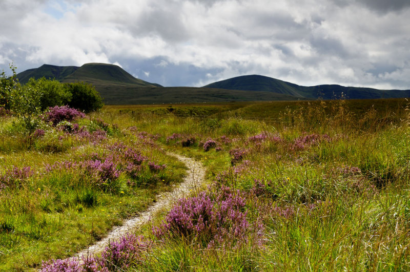 Mynydd Ddu (Black Mountain)