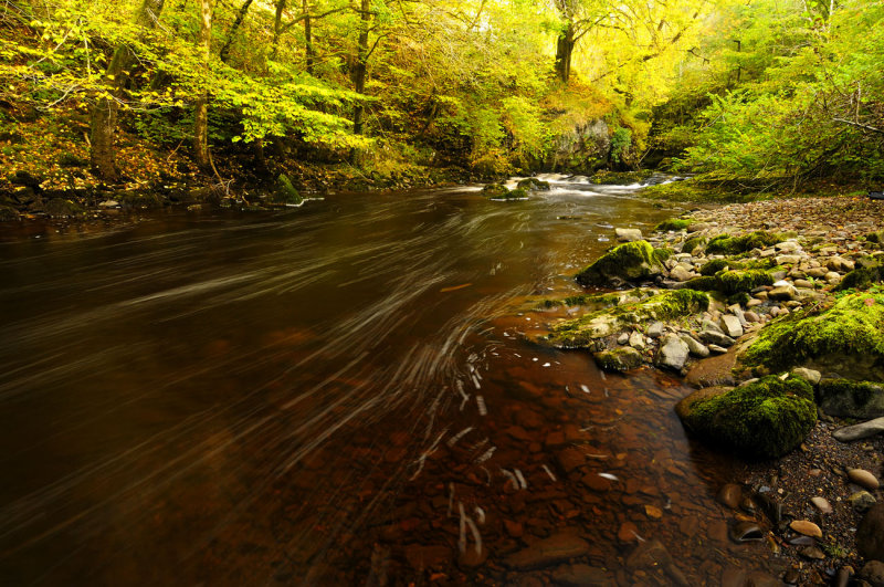 Afon Mellte near Pontneddfechan