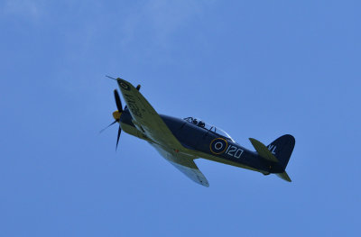 Hawker Sea Fury