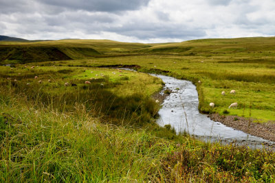 Headwaters of the River Usk (Afon Wysg)
