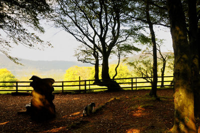 Edge of Fforest Fawr, Tongwynlais