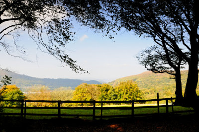 Fforest Fawr
