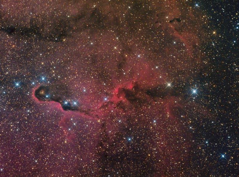 The Elephants Trunk Nebula in IC1936 in Cepheus 