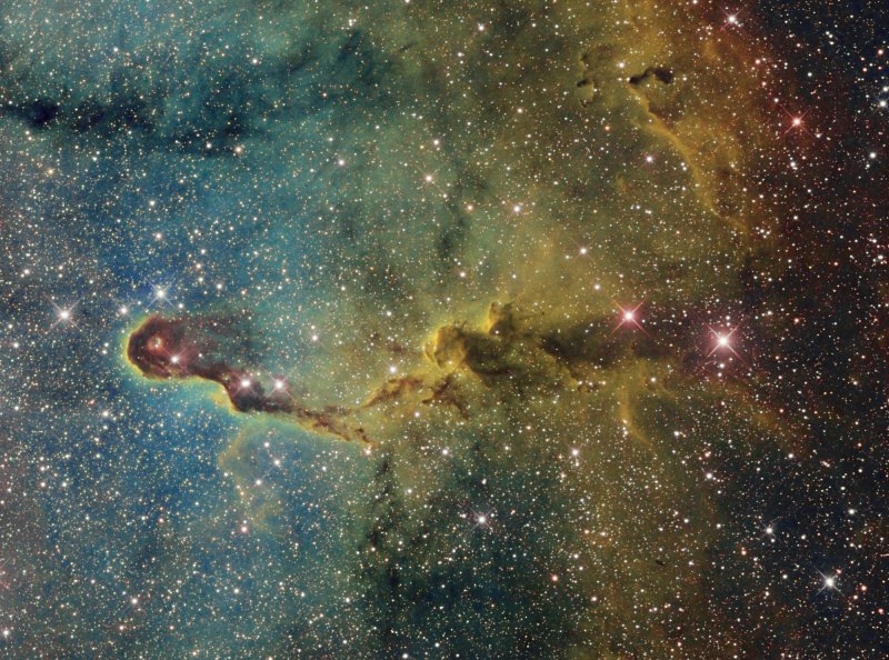 The Elephants Trunk Nebula in IC1936 in Cepheus 