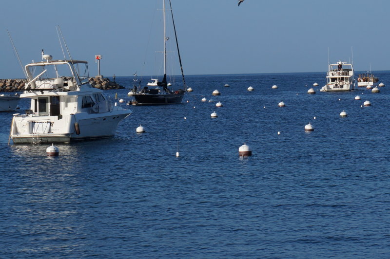 DSC00100.JPG