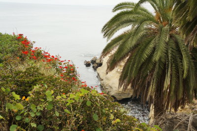 La Jolla