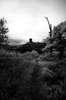 Lake Jed Johnson Tower 2