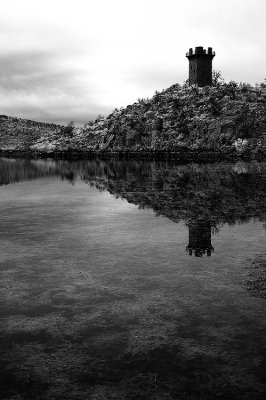 Lake Jed Johnson Tower