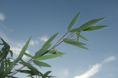 Nature and Various Landscapes