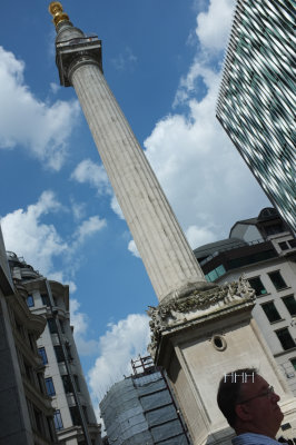S_DSCF8595.jpg