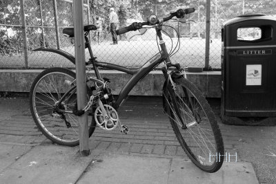 S_DSCF9554A.jpg