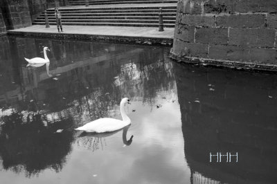 S_DSCF9580A.jpg