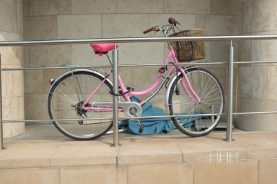 S_DSCF9851.jpg