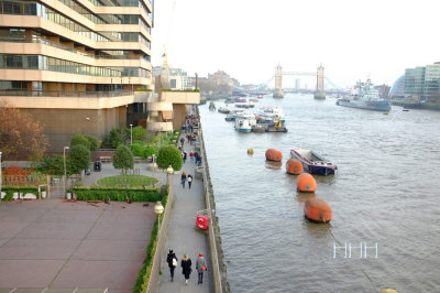S_DSCF5206.jpg