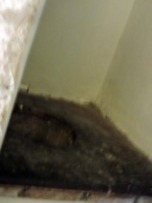DSCN1082021.jpg