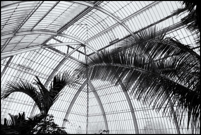 Palm House, Kew