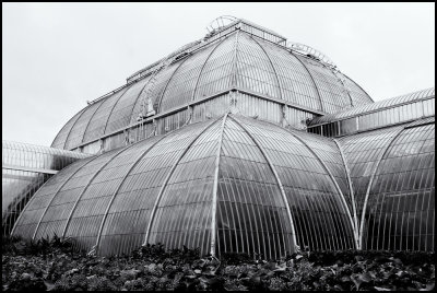Palm House, Kew
