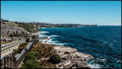 Rest amongst the bays, Waverley Cemetery