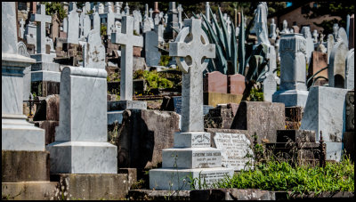 In Loving Memory, Waverley Cemetery