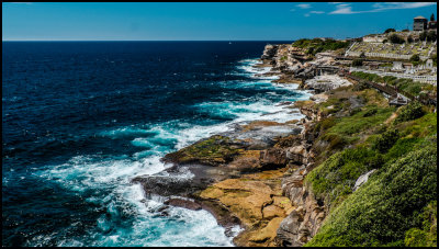 Looking South, Waverley Cemetery