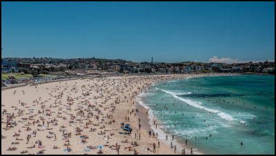 Ants on the beach, Bondi
