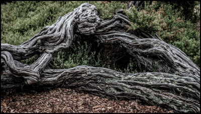 Worn