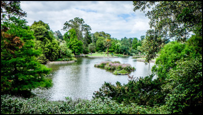 Island within an Island
