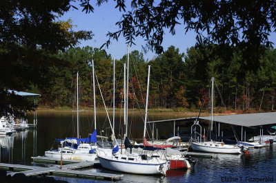 Bay Springs Lake