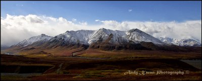 Fall Colors in Denali National Park