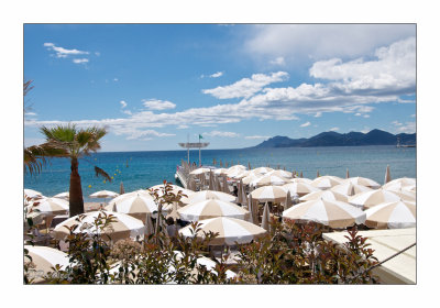 Cannes