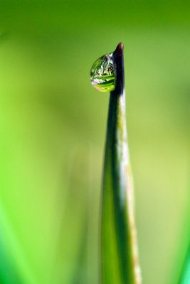 One water drop...
