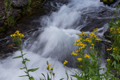 Lassen Volcanic National Park