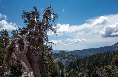 Lassen Volcanic National Park