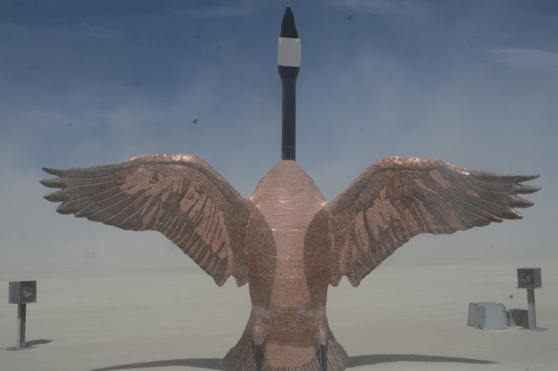 Canadian Goose Covered in Coins