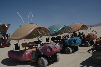 Bugs-Art Cars