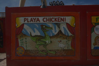 The Infamous and Elusive PLAYA CHICKEN  Banner