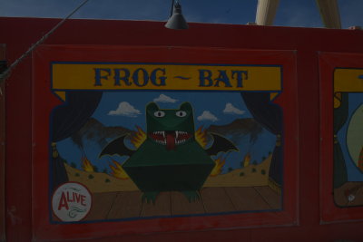 FROG-BAT Banner