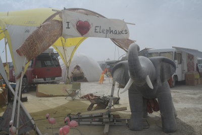 I LOVE ELEPHANTS CAMP