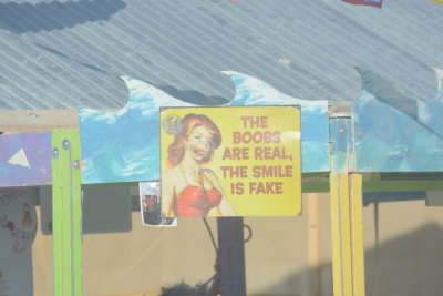 The Boobs Are Real, the Smile is Fake Art Sign