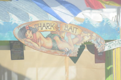SHARK BAIT Surf Board