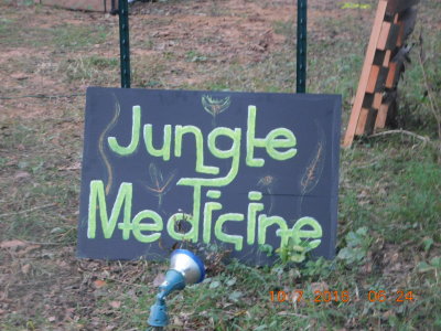 Jungle Medicine