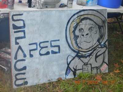 Space Apes Camp