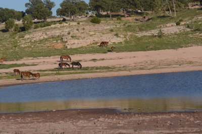 ARC_9825.JPG