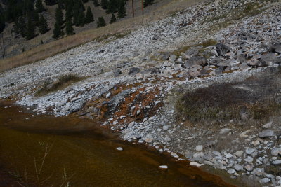Looks like old mining tailings along the Salmon River