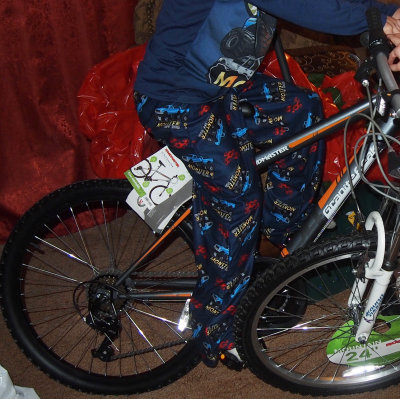 MattsBikeTemp.jpg