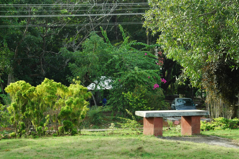 DSC_9886.JPG