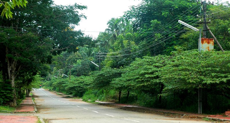DSC_9907.JPG