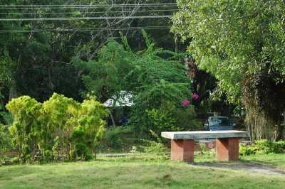 DSC_9886.JPG