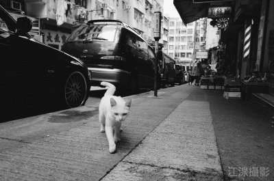 Image711.jpg