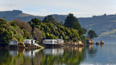 Margate Bay, Otago Harbour.